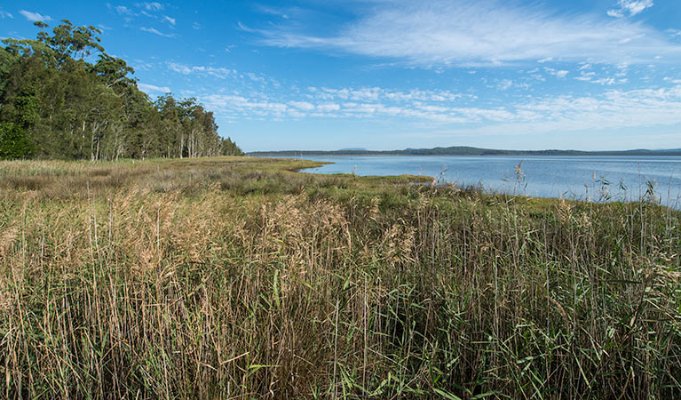 Lake Innes Nature Reserve - thumb 3