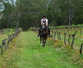 Port Macquarie Horse Riding Centre - thumb 1