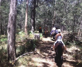 Port Macquarie Horse Riding Centre - thumb 4
