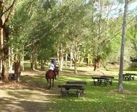 Port Macquarie Horse Riding Centre - thumb 6