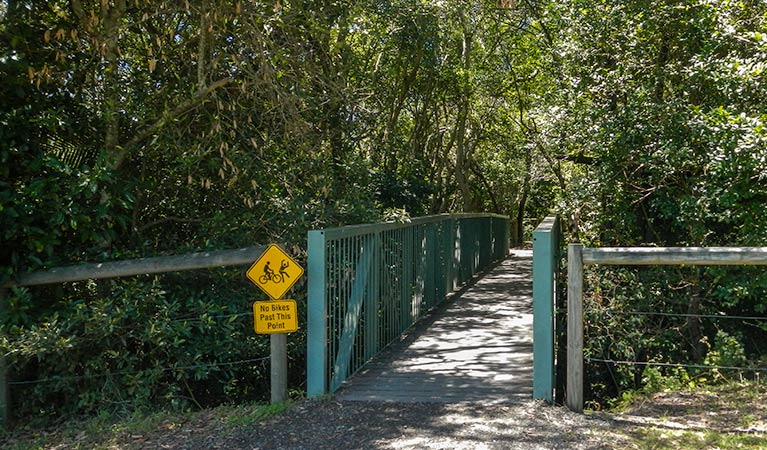 Diamond Head Loop walk - Accommodation Sunshine Coast