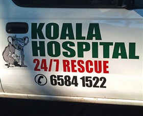 Koala Hospital - thumb 8