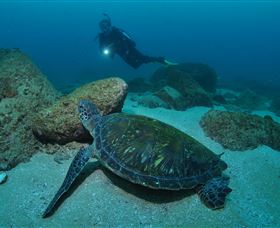 Cook Island Dive Site - thumb 2