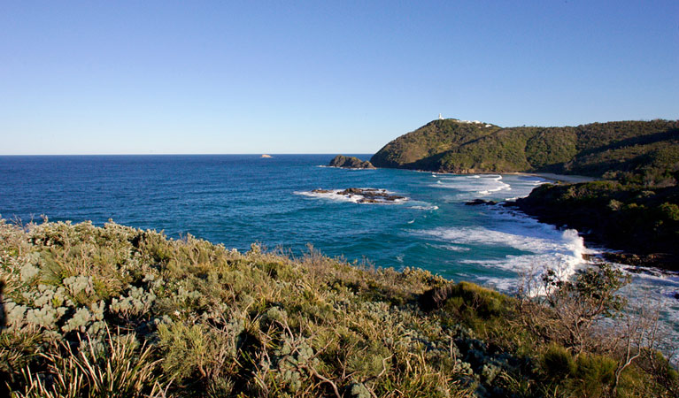 Smoky Cape walking track - Find Attractions