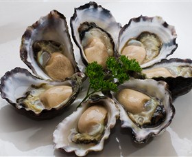 Tathra Oysters - Accommodation NT