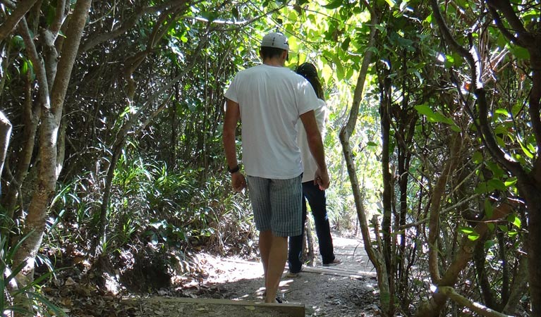 Three Sisters walking track - Tourism Cairns