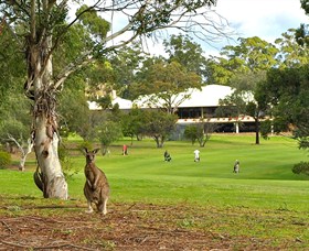 Pambula Merimbula Golf Club - Accommodation Nelson Bay