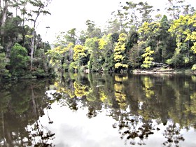 Arthur River - Find Attractions