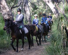 Mirravale Horse Riding School - Attractions