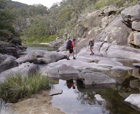 Nadgee Wilderness Walk - New South Wales Tourism 