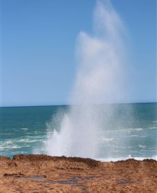 Blowholes and Point Quobba - Accommodation Brunswick Heads