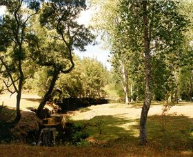 Oldina Picnic Area - Tourism Canberra