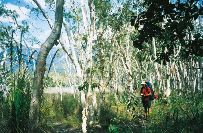 Thorsborne Trail Hinchinbrook Island National Park - Tourism Cairns