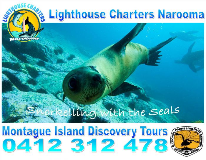 Lighthouse Charters Narooma - thumb 11
