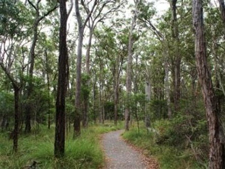Caboolture Regional Environment Education Centre - Walking Trails - thumb 0