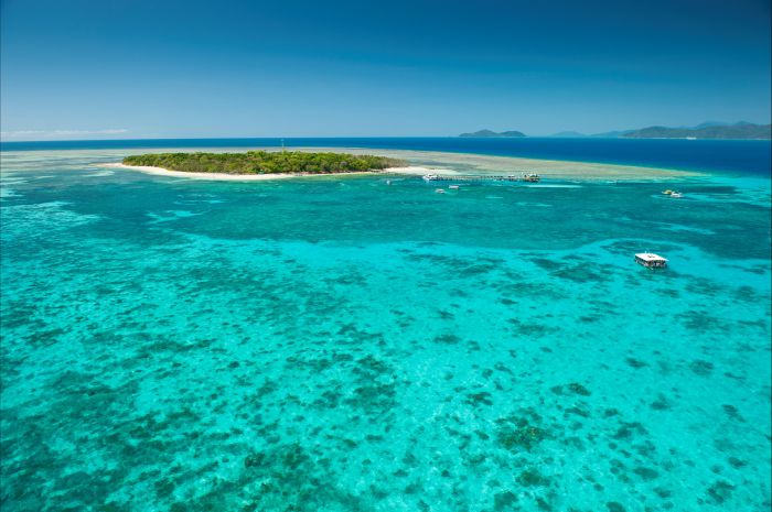 Big Cat Green Island Reef Cruises - thumb 16