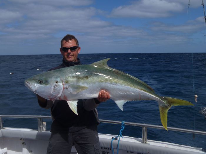 Reef Encounters Fishing Charters. - Attractions