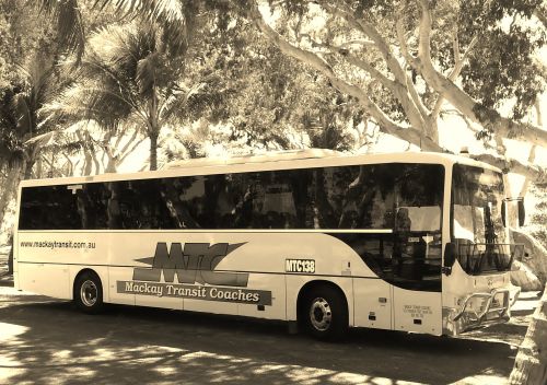 Mackay Transit Coaches - thumb 0