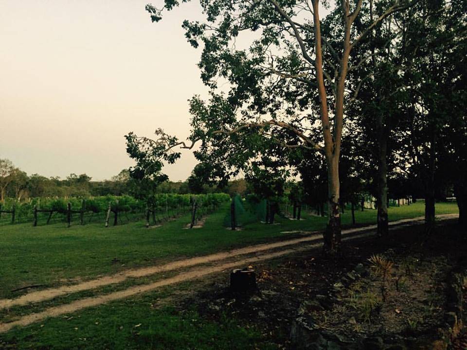 Brierley Wines - Nambucca Heads Accommodation