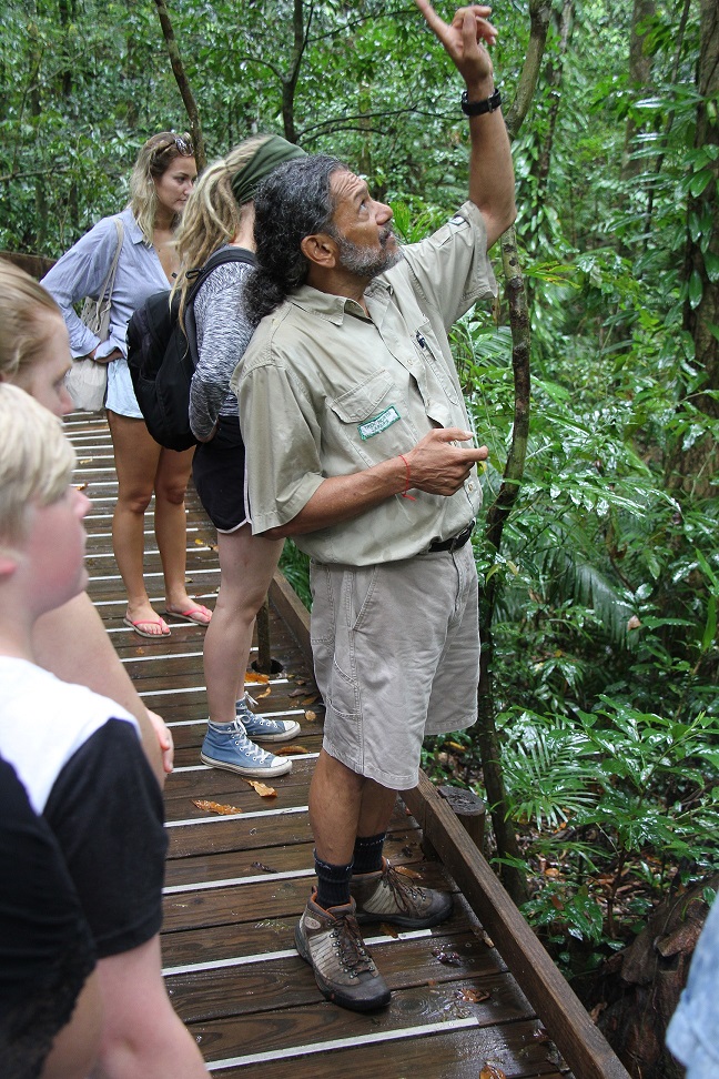 Mamu Rainforest Canopy Walkway - thumb 5