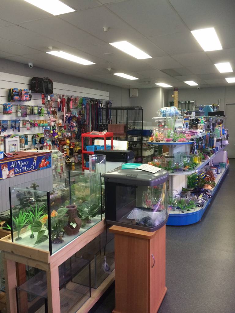 Nambour Pet Shop - Accommodation in Brisbane