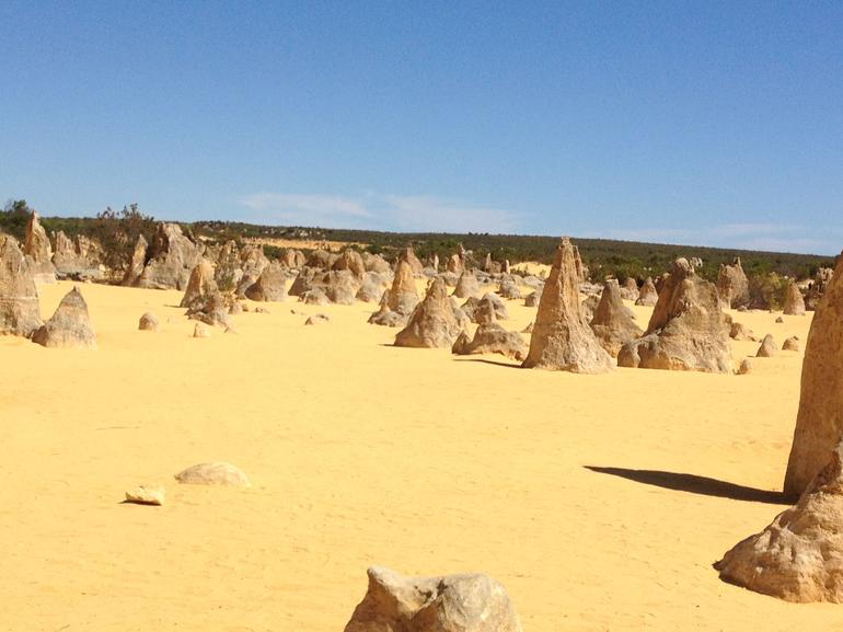 Pinnacles Desert, Koalas And Sandboarding 4WD Day Tour From Perth - thumb 15