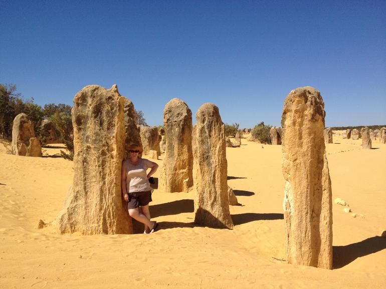Pinnacles Desert, Koalas And Sandboarding 4WD Day Tour From Perth - thumb 17