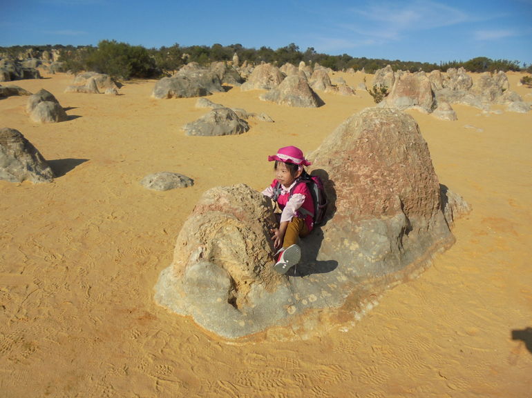 Pinnacles Desert, Koalas And Sandboarding 4WD Day Tour From Perth - thumb 7