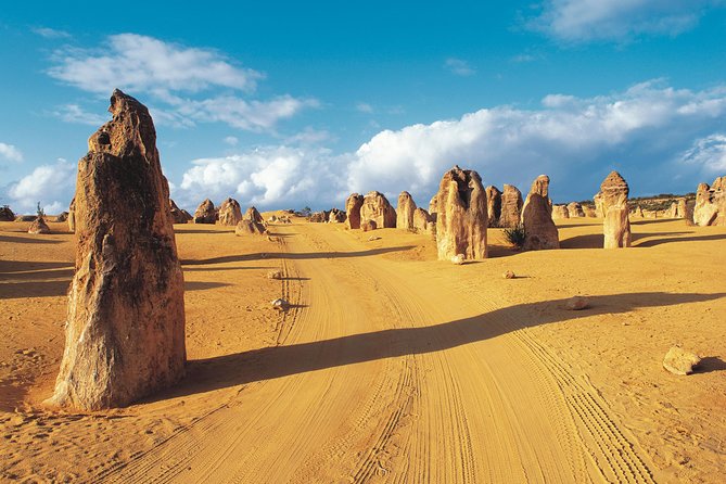 Pinnacles Desert Koalas and Sandboarding 4WD Day Tour from Perth - Stayed
