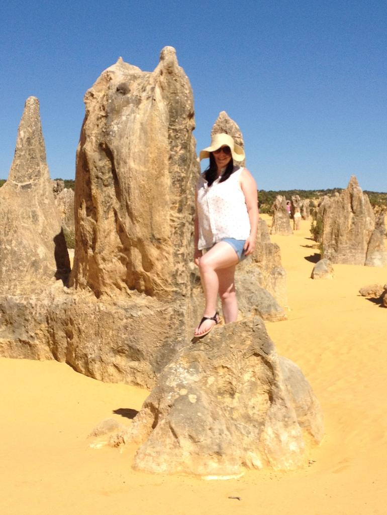Pinnacles Desert, Koalas And Sandboarding 4WD Day Tour From Perth - thumb 16