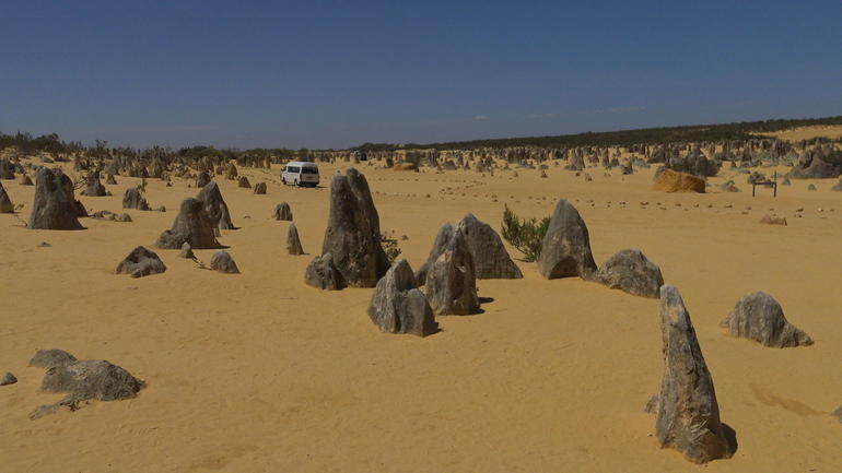 Pinnacles Desert, Koalas And Sandboarding 4WD Day Tour From Perth - thumb 4