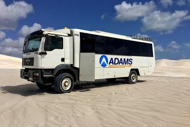 Pinnacles Desert, Koalas And Sandboarding 4WD Day Tour From Perth - thumb 28