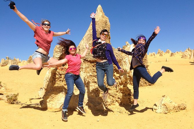 Pinnacles and Swan Valley Day Trip from Perth Including Caversham Wildlife Park Vineyard Lunch Pinnacles and Sandboarding - Accommodation Directory