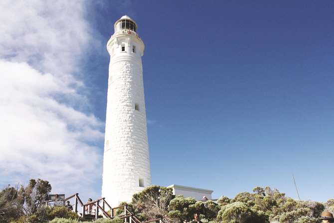 Margaret River, Caves, Wine And Cape Leeuwin Lighthouse Tour From Perth - thumb 29