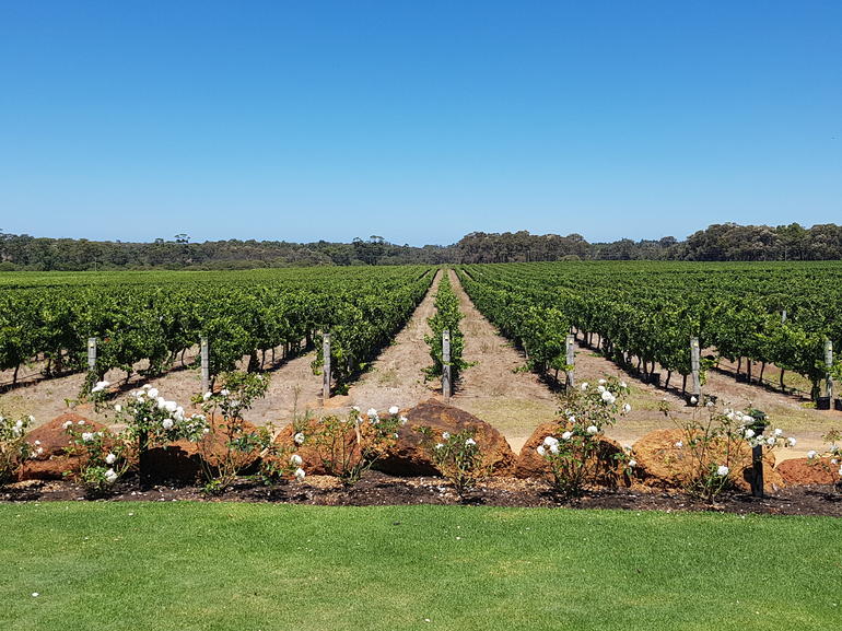 Margaret River Food, Wine & Sightseeing Tour From Perth - thumb 5