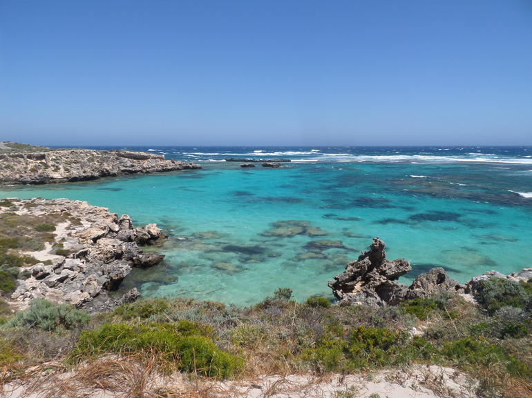 Rottnest Island Tour From Perth Or Fremantle Including Adventure Speed Boat Ride - thumb 3