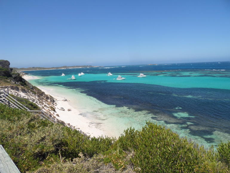 Rottnest Island Tour From Perth Or Fremantle Including Adventure Speed Boat Ride - thumb 2