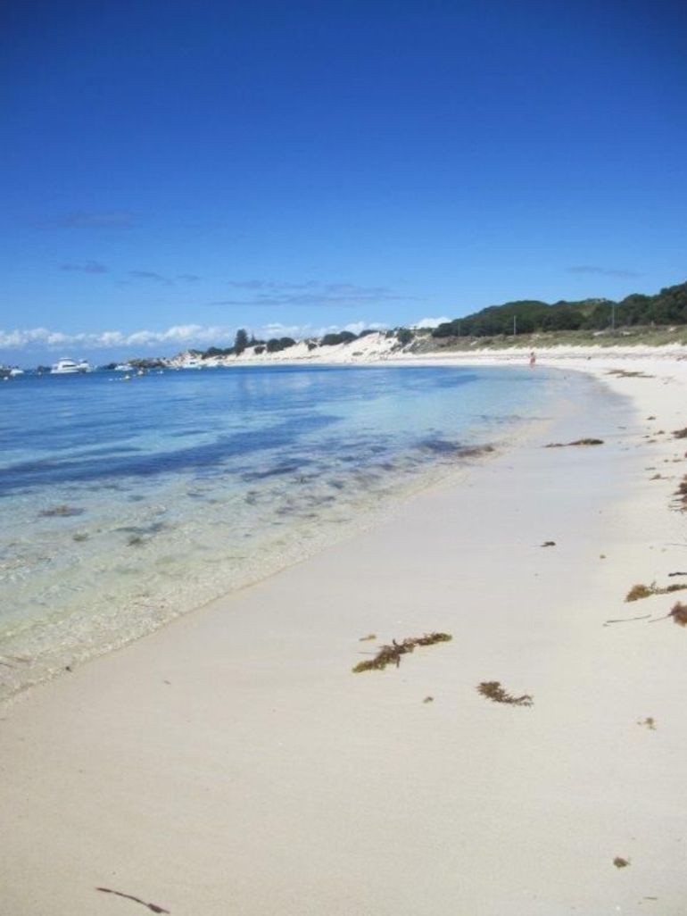 Rottnest Island Tour From Perth Or Fremantle Including Adventure Speed Boat Ride - thumb 4