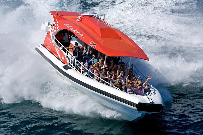 Rottnest Island Tour From Perth Or Fremantle Including Adventure Speed Boat Ride - thumb 11