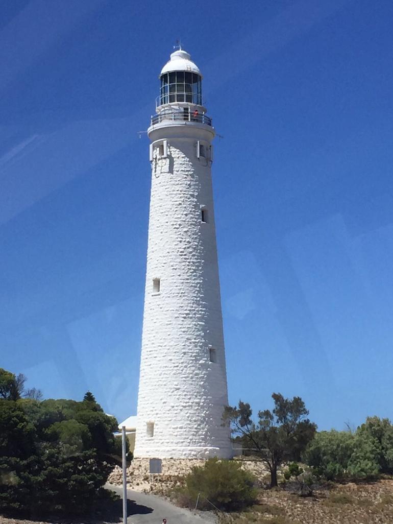 Rottnest Island Tour From Perth Or Fremantle Including Bus Tour - thumb 2