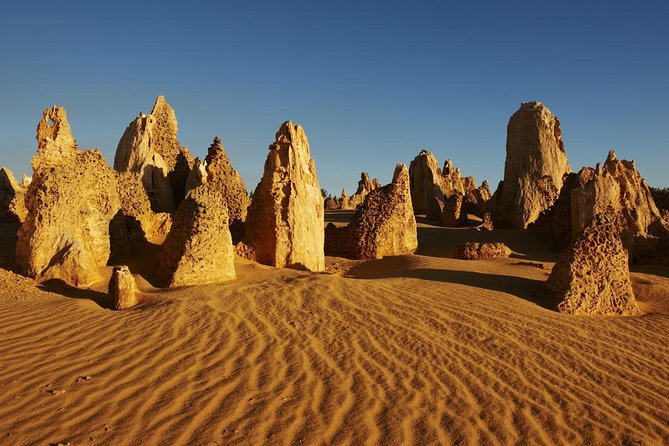 Pinnacles Day Trip from Perth Including Yanchep National Park - Accommodation Kalgoorlie