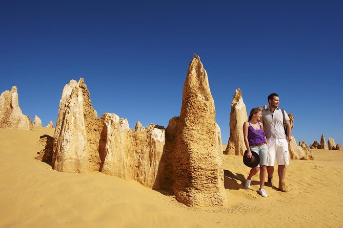 Pinnacles Day Trip From Perth Including Yanchep National Park - thumb 4