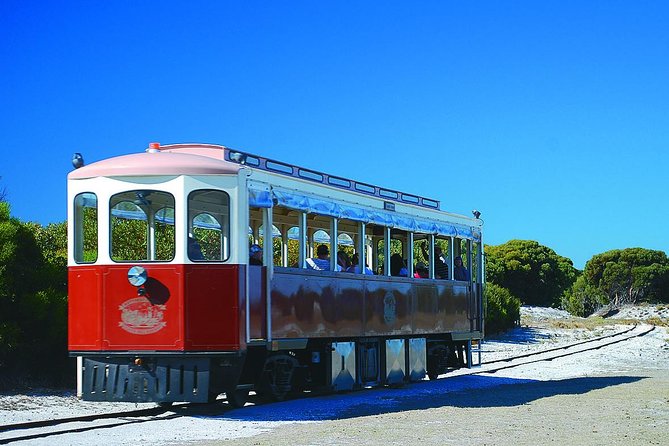 Rottnest Island Grand Tour Including Lunch And Historical Train Ride - thumb 1