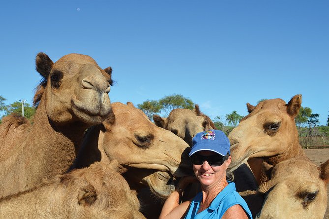 1 Hour Broome Sunset Camel Tour - thumb 8