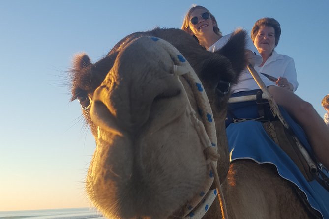 1 Hour Broome Sunset Camel Tour - thumb 2