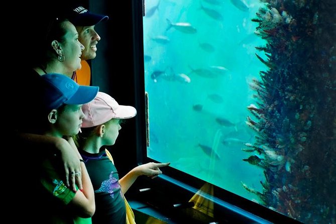 2-hour Busselton Jetty Package: Jetty Train And Underwater Observatory - thumb 1