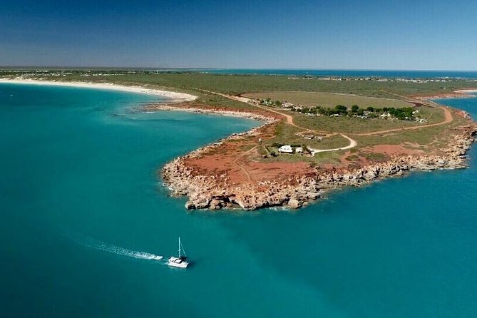 Snubfin Dolphin Eco Cruise From Broome - thumb 7
