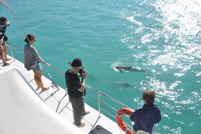 Snubfin Dolphin Eco Cruise From Broome - thumb 4