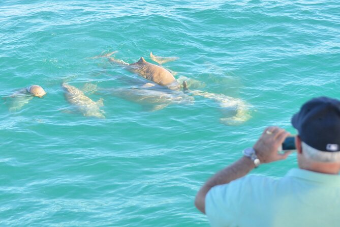 Snubfin Dolphin Eco Cruise From Broome - thumb 3