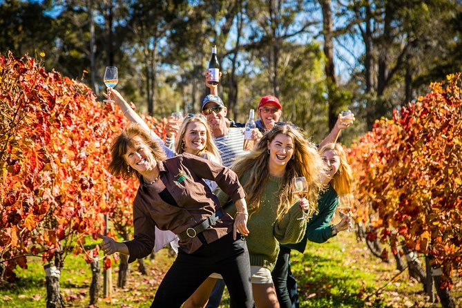 Margaret River Winery And Brewery Day Trip, Plus Gourmet Winery Lunch - thumb 4
